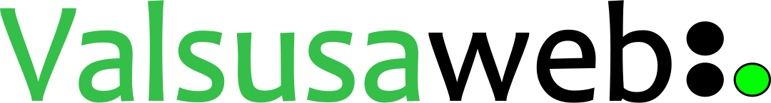 Logo VSW